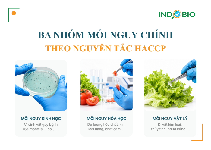 Ba nhóm mối nguy thực phẩm theo nguyên tắc HACCP